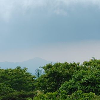 かすかに名久井岳も見えてるー🗻
そういえば、今年はまだ登ってないなぁ〜🤔