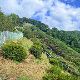 まずは、錨山⛰️
電飾を横から見たところ。昼間見ると何やコレ？ですね。