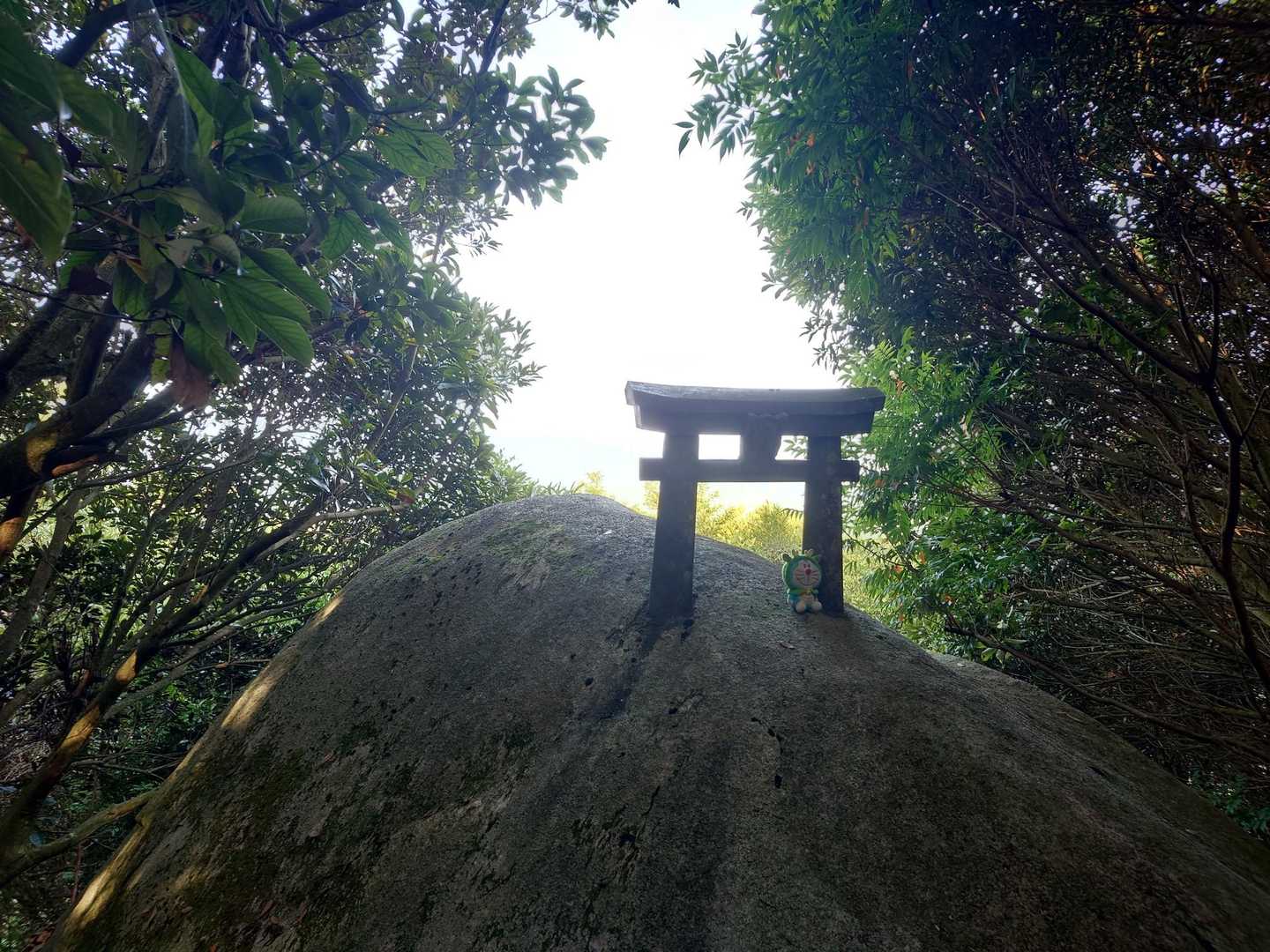 みんなの活動日記で見たやつ👀
亀岳手前の、岩に鳥居が🪨⛩️意外と小さい❗
ここでも辰えもん、浄化してもらってます👍