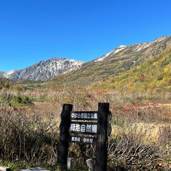 快晴の青空と紅葉のコントラスト🍁⛰️