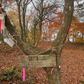 山本山山頂は広くて開放感あり。ここでりんご🍎一つ食べました