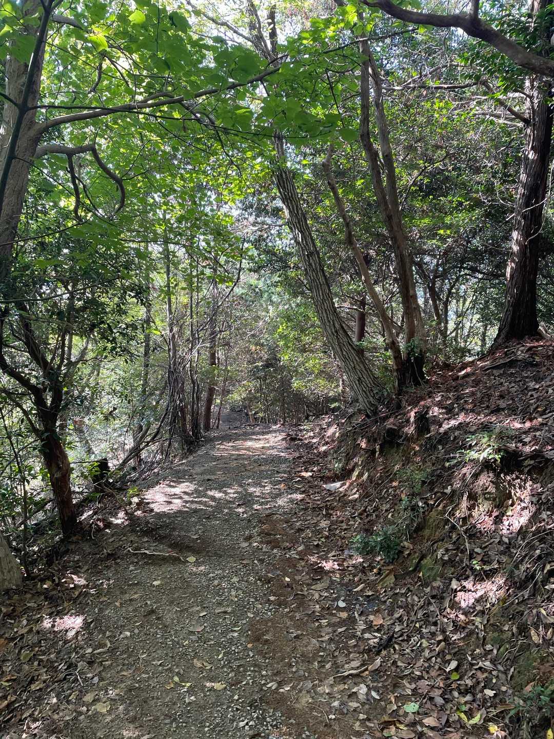 次女を待たせないように急いで下山。
ちょっと走ってみる🏃‍♂️ᯓᡣ𐭩