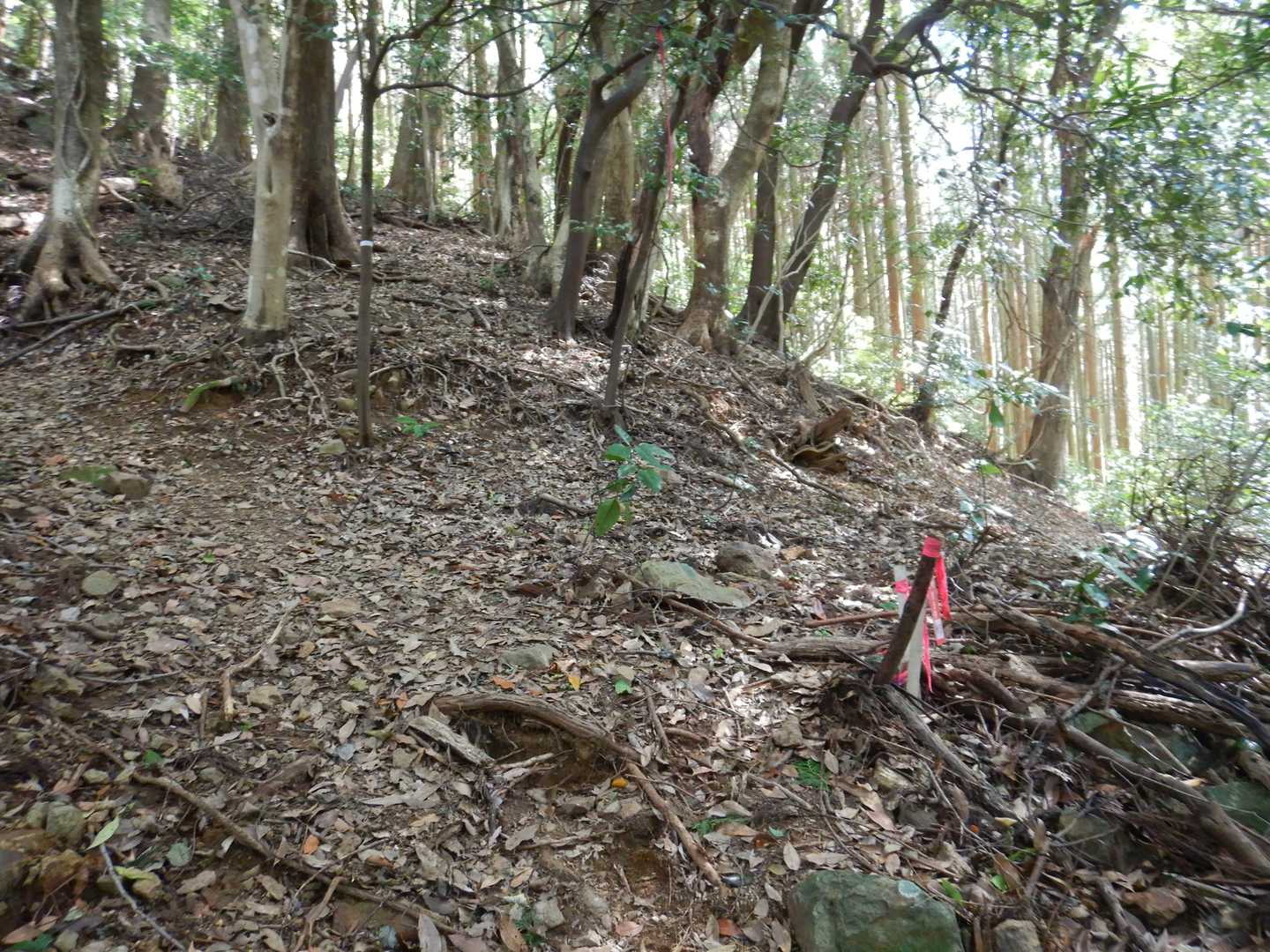 この辺は紛らわしい分岐が多い😯　ここは右には行かずに直進❗
