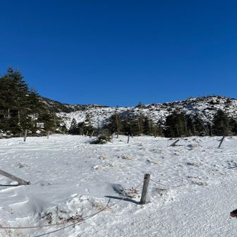八ヶ岳ブルーがお迎え、風は強そうですが、いまのところ大丈夫。