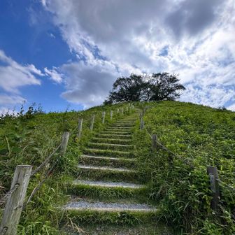 90段以上の階段を登ると山頂です⛰️
