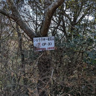 最後の標識
ショウケ越⑦