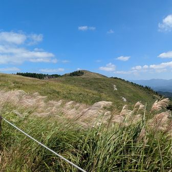 わ〜✨良い景色🌾✨風もあって気持ち良い