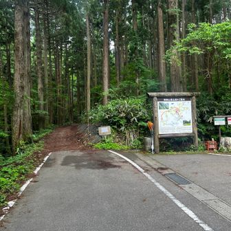 第1駐車場