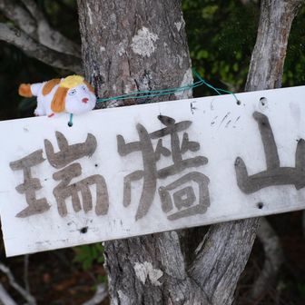 頂上涼しい〜