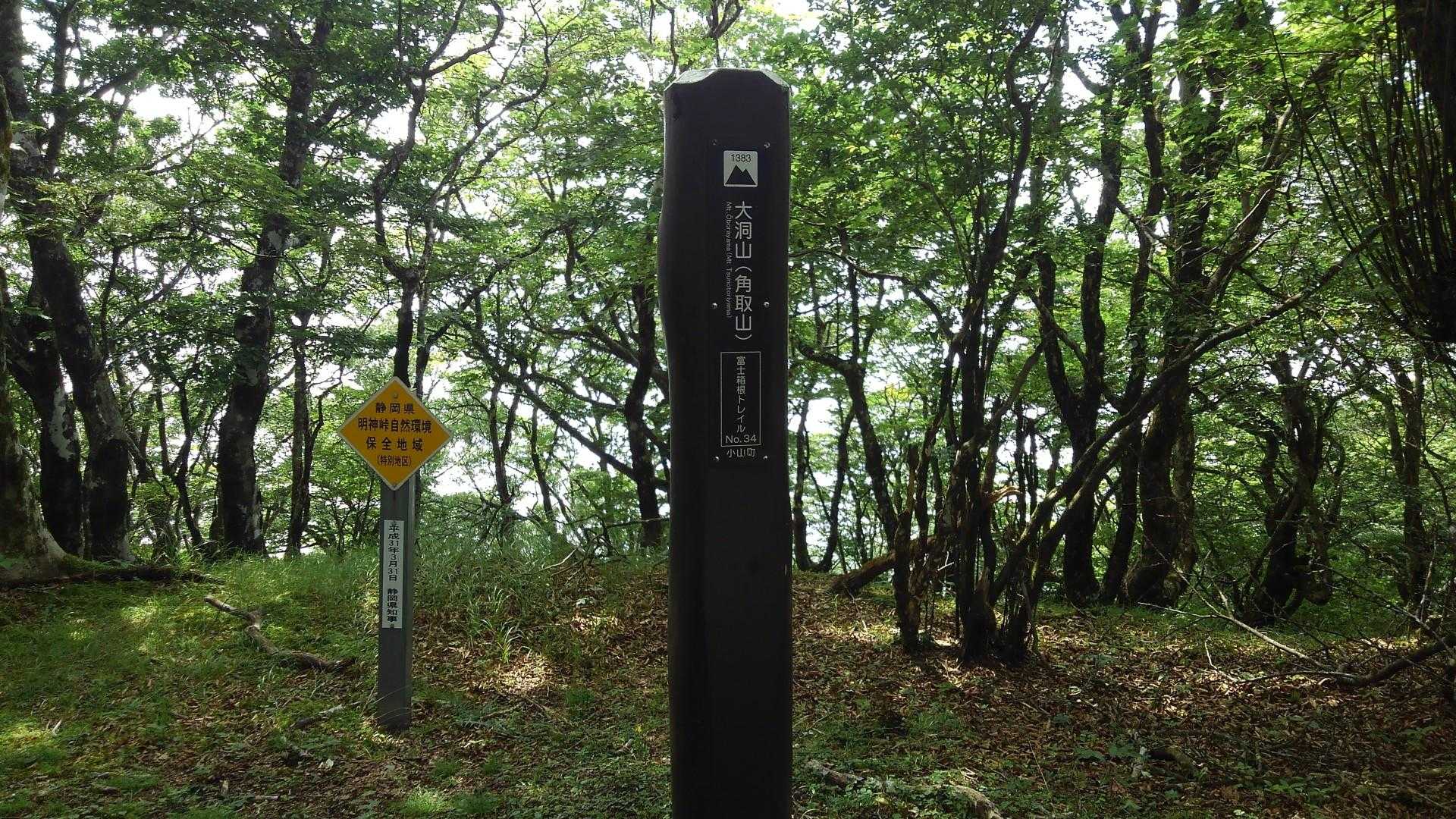 大洞山⛰️百低山とうちゃーく🚶‍♀️
