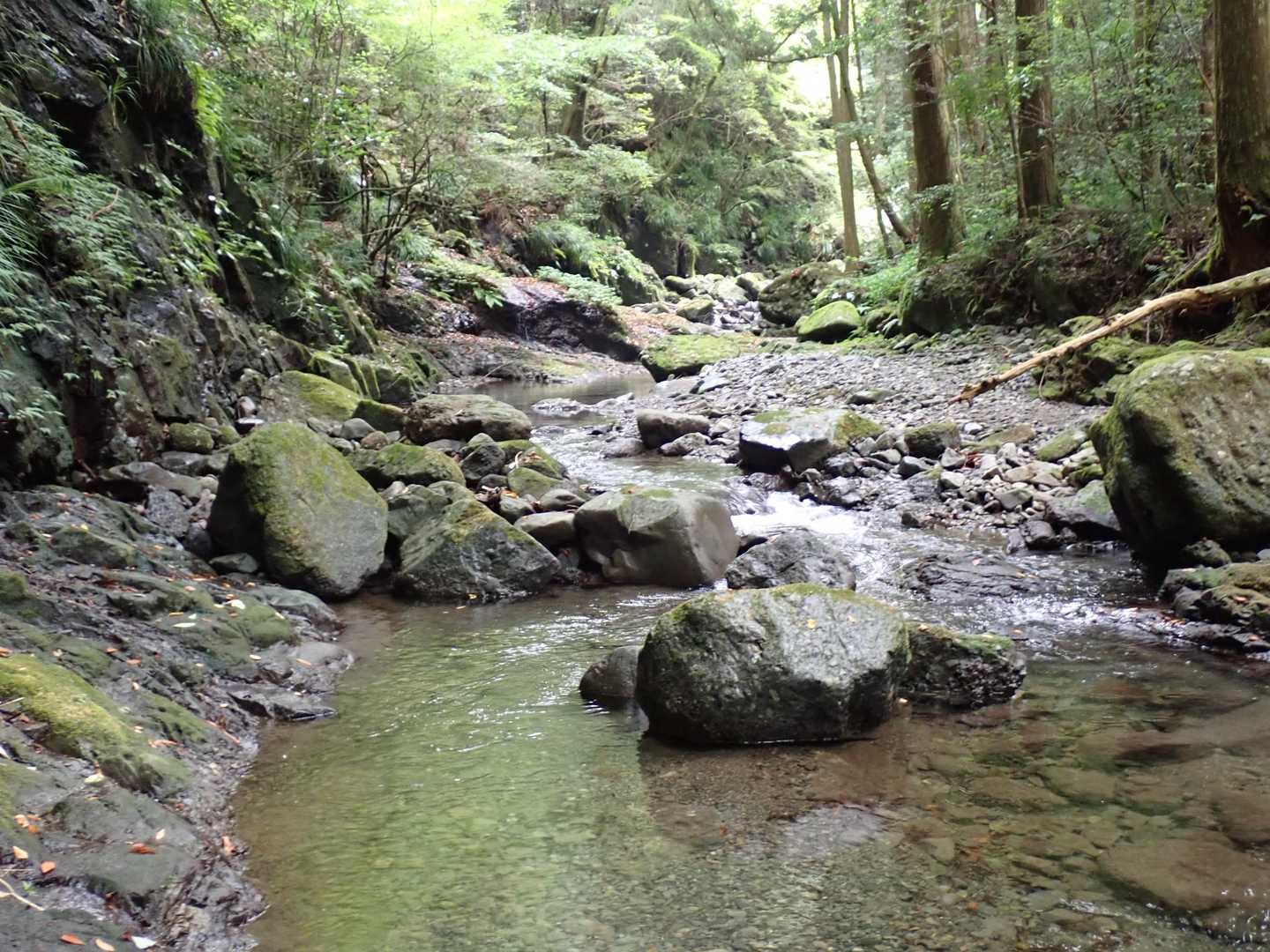 穏やかな渓谷が続きます。