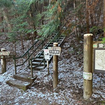 大多賀峠に到着。ここから登山らしくなります