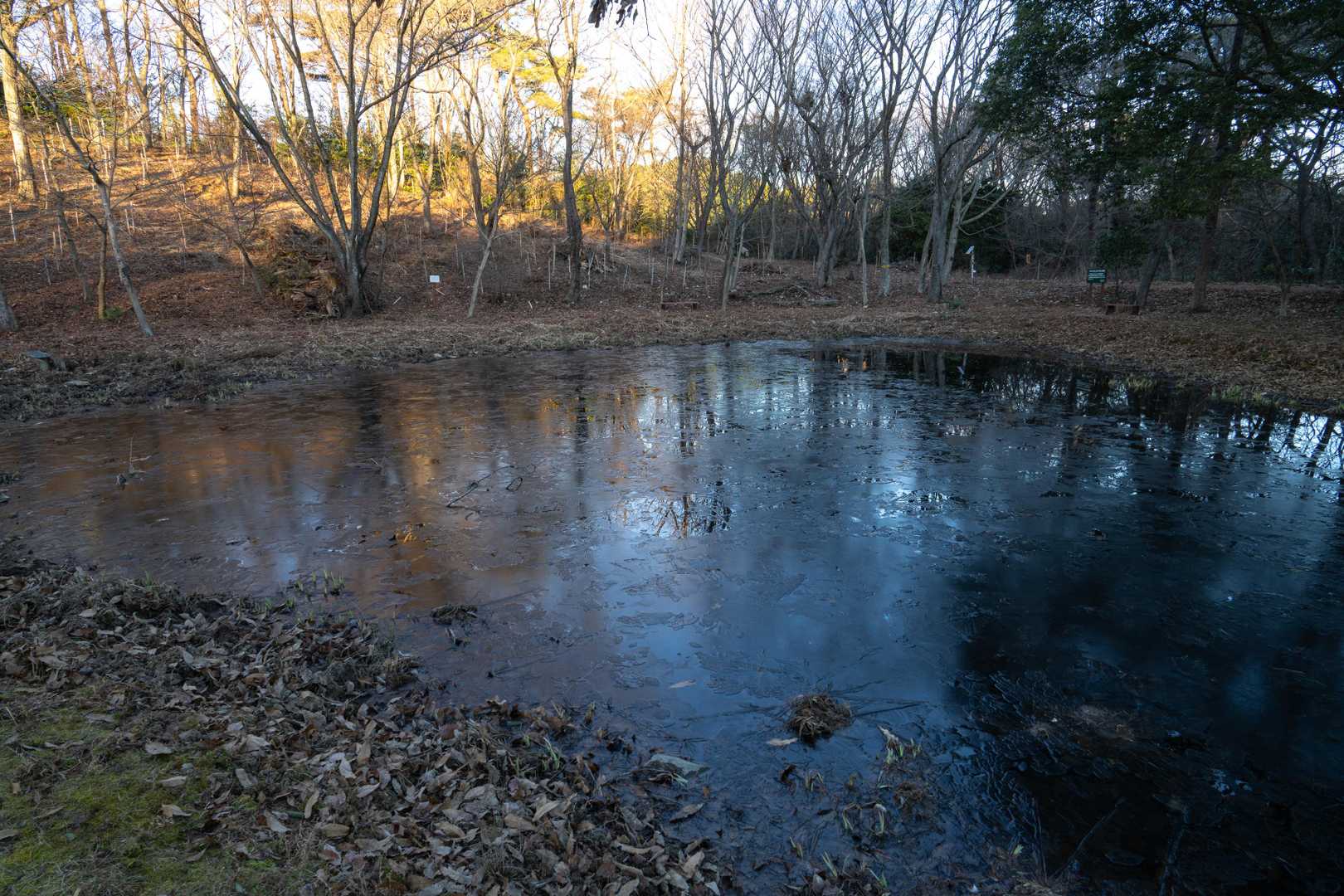 下山します。池には氷が🧊