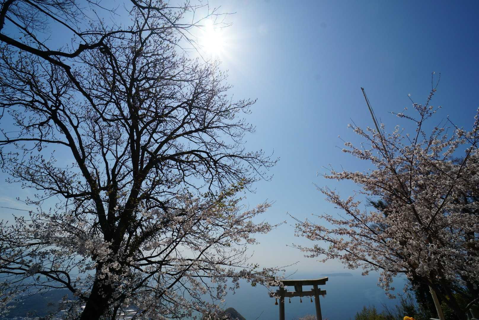 見えてきました