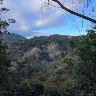 麻呂子山からの眺望もきれいですよ✨