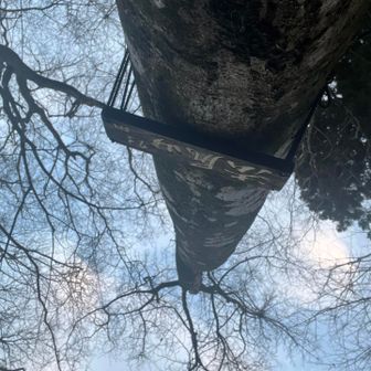 法尻山、今年20回目