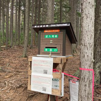入山ボックス新しい。