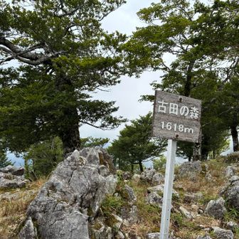 古田の森