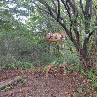 新看板