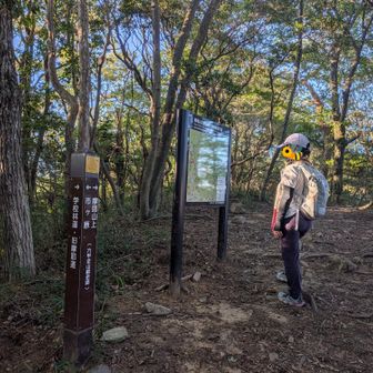 久々の天狗道しんどっっ‼️

あっ、🐝さんと新神戸で待ち合わせして、2人共夕飯背負って登ってます
ナイトハイク、ソロは怖くてムリなんで付き合って貰った
では、稲妻坂へ⚡️