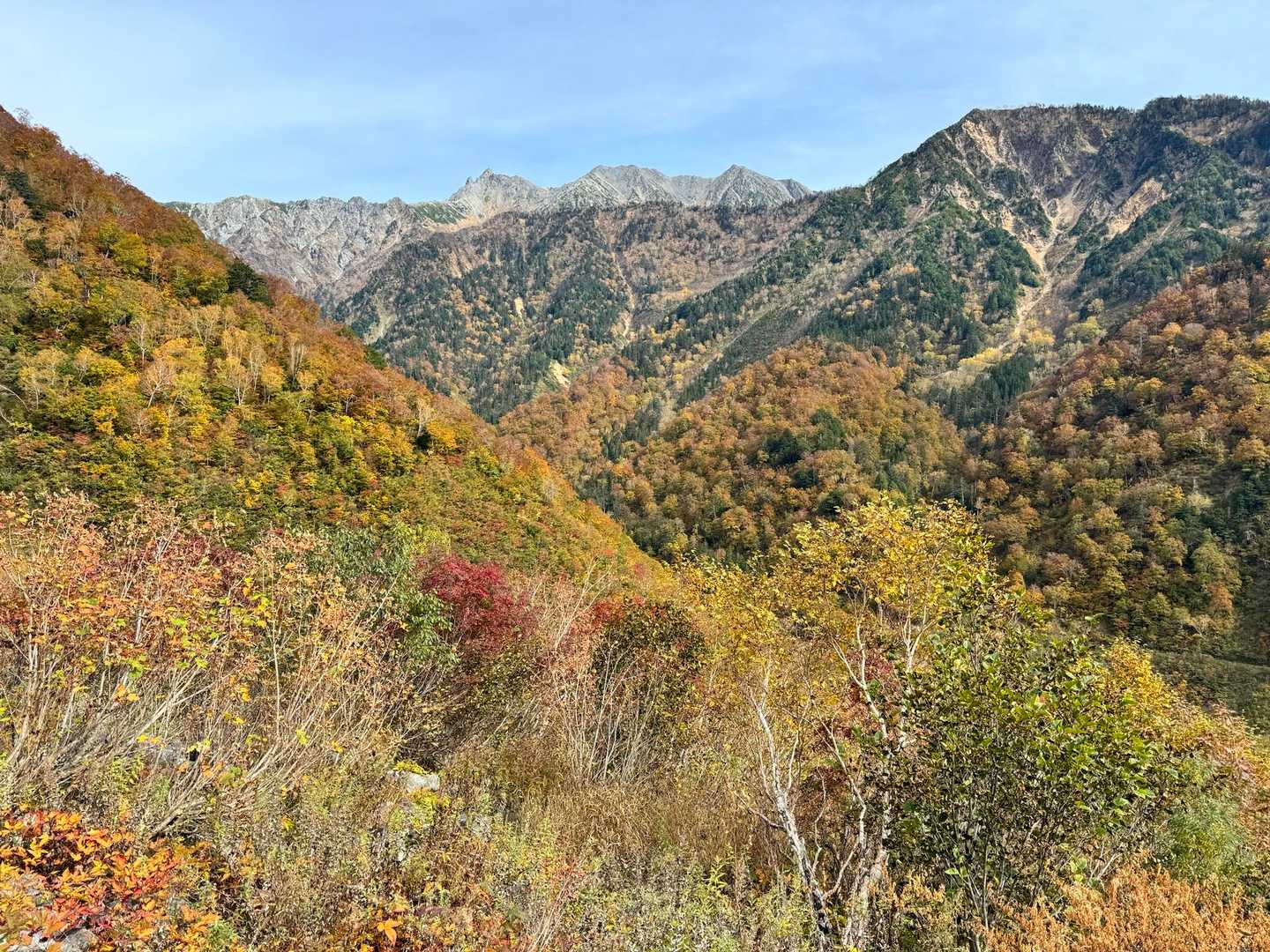 抜戸岳-秩父平-大ノマ岳-大ノマ乗越-弓折岳-弓折乗越-小 縦走コースの写真
