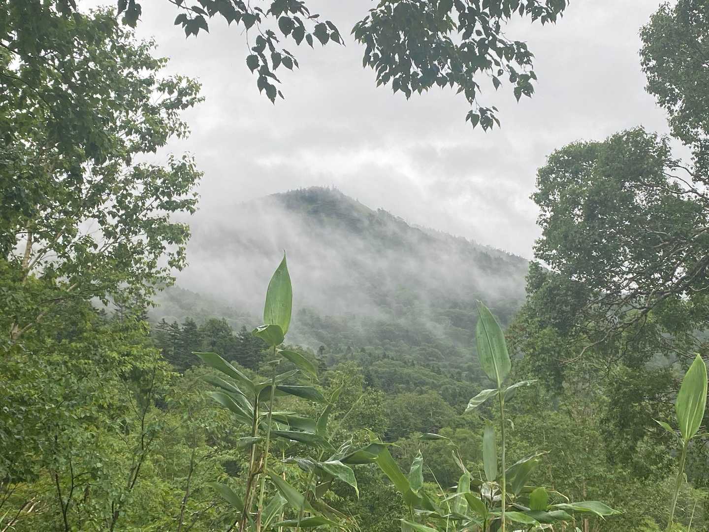 あっ雲が流れてる☁️