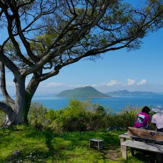 パノラマビューの絶景ポイント✨

最高のロケーションで久々の再会を喜び合えた心に残る島めぐりでした☺️

志々島発の最終便で帰路に🛥️
一日がかりの島めぐり、お疲れさまでした❣️
また、会う日まで…

心と体も元気になる島の恵みに感謝😊

