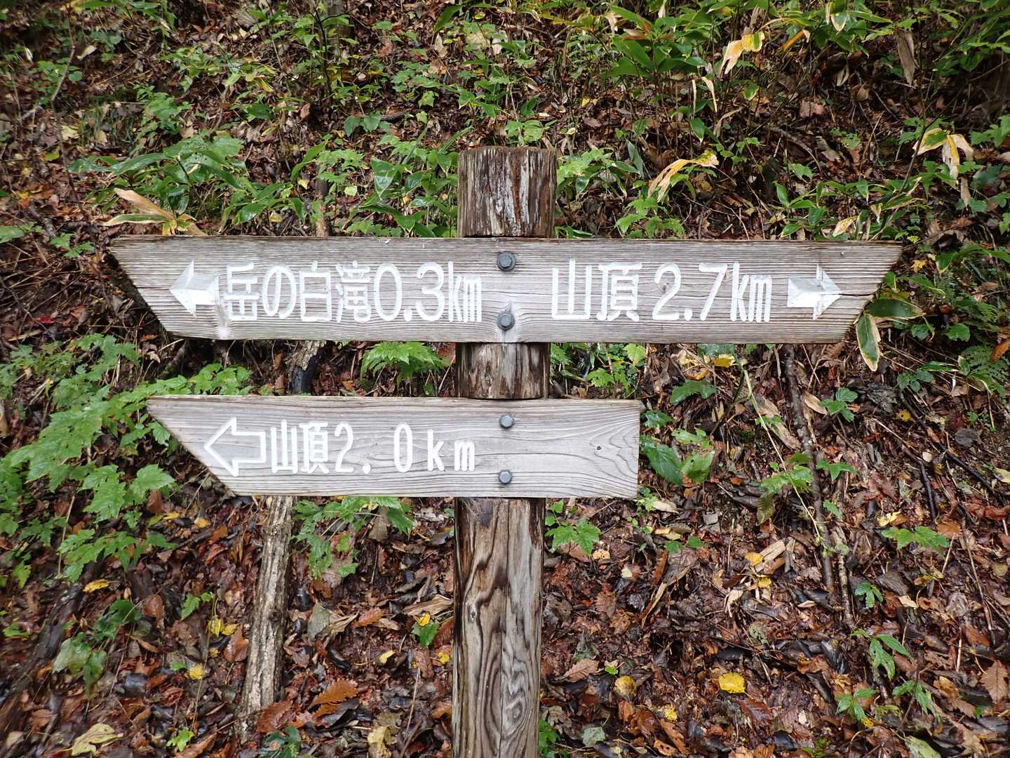 ここから岳の白滝を見に😊