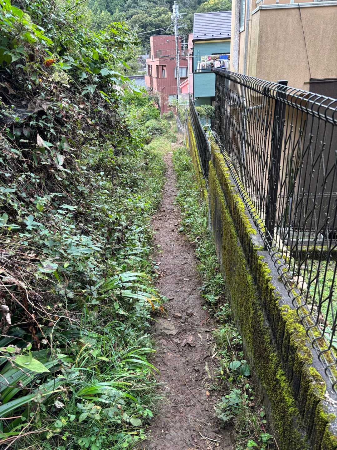 どんどん高度を下げていき、民家の脇から下山