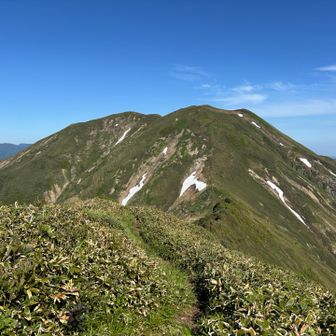 振り返って仙ノ倉山。