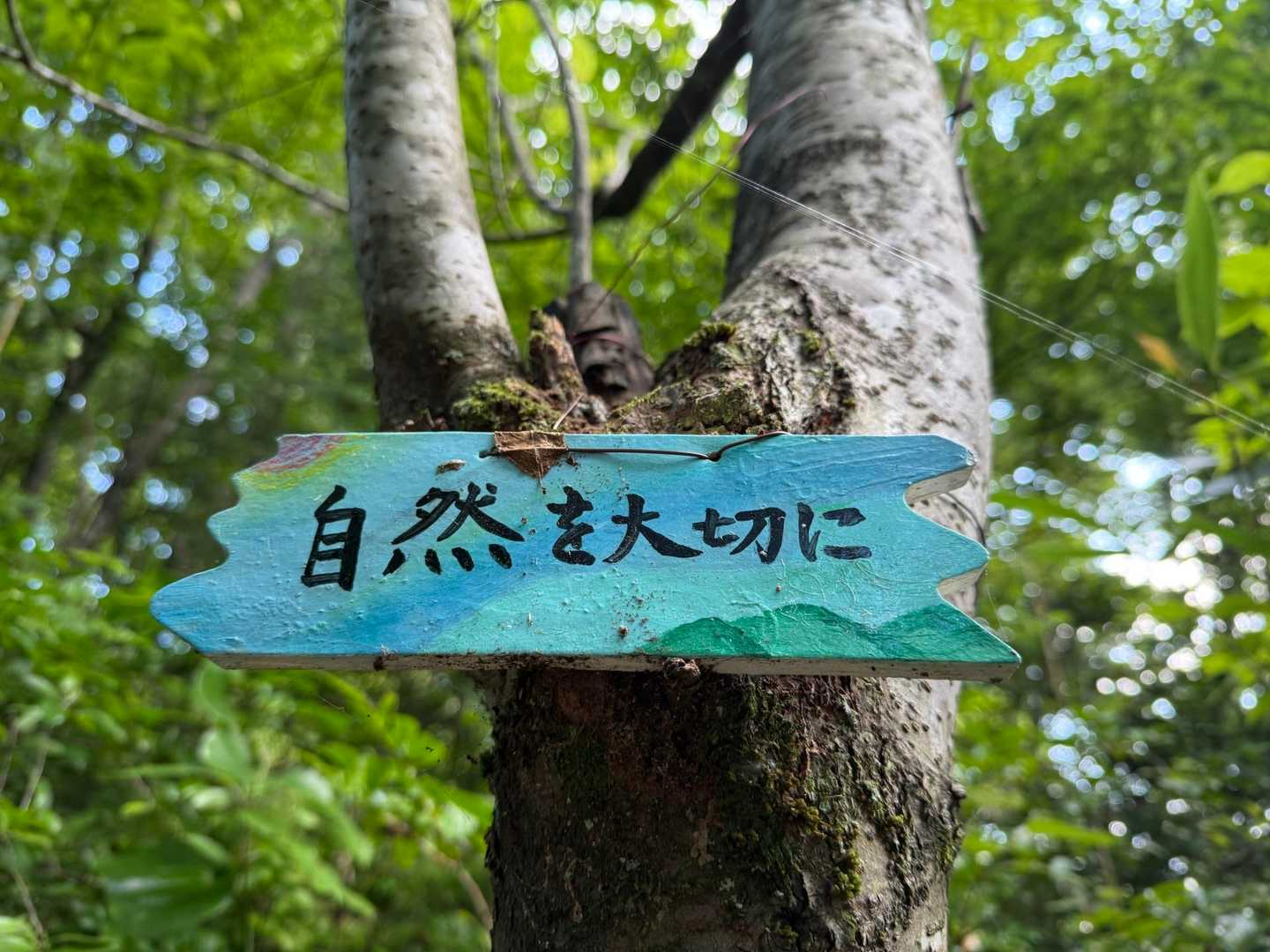 🍀自然を大切に🍀