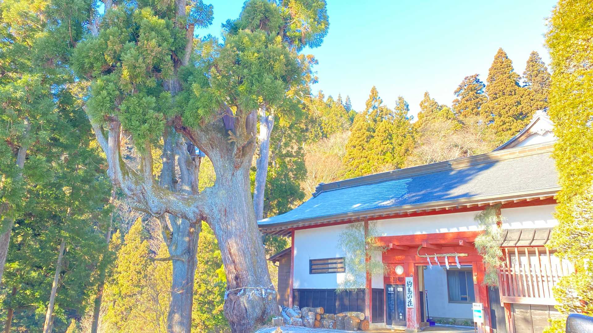 滝本駅-御嶽神社-御岳山駅 縦走コースの写真