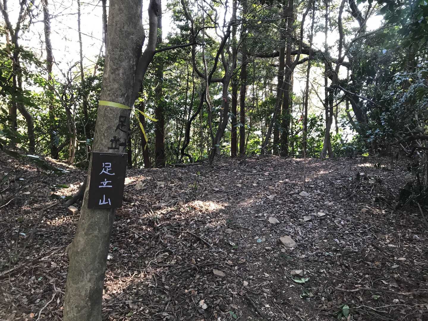 足立山まで行くことに！