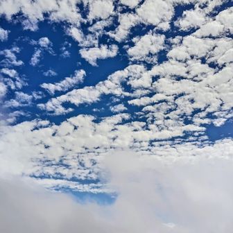 久々に見る青空はどことなく秋の色でした