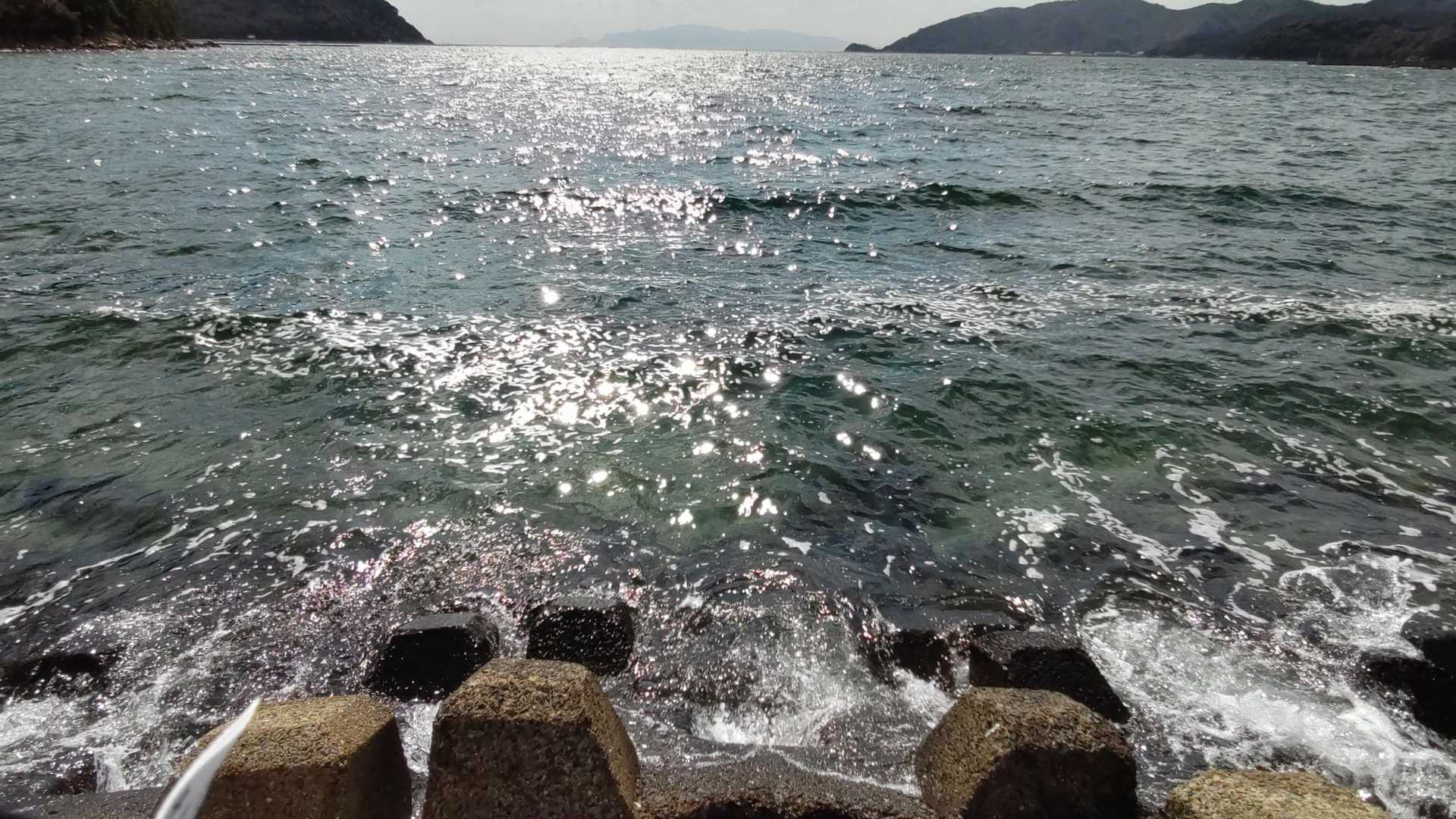 宝珠山-坪江山 周回コースの写真