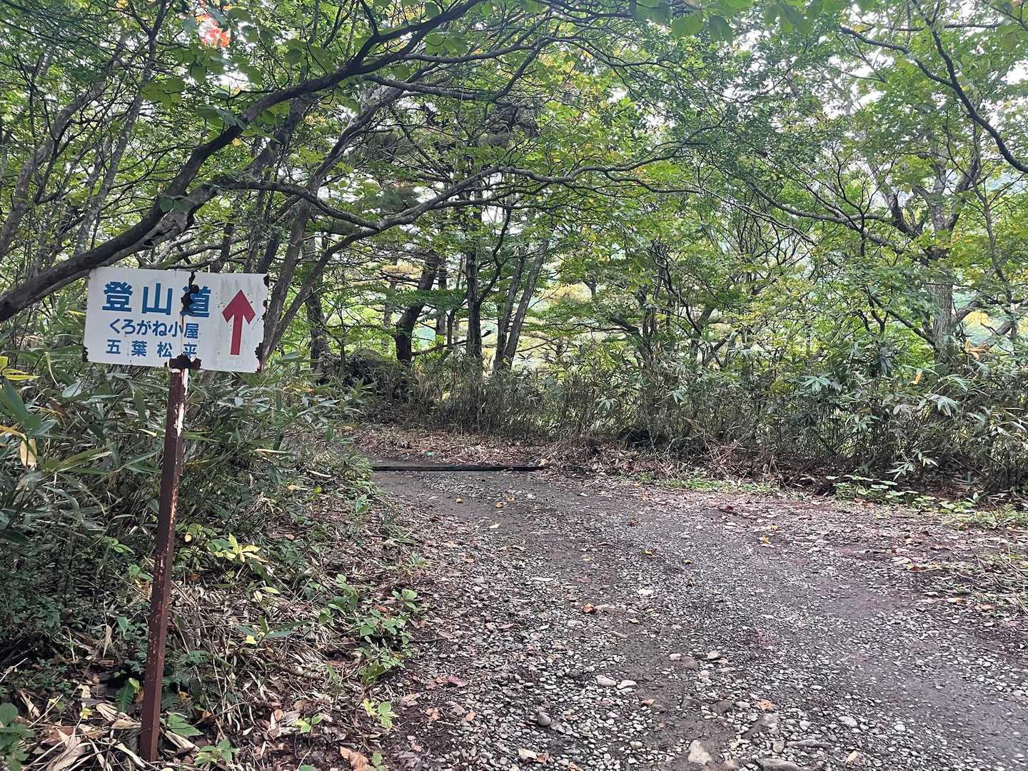 まずは林道を進みます！
