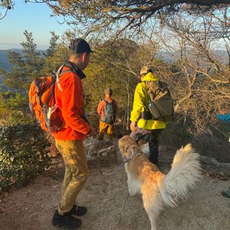 今回は、お試し登山と言う事で、安全に安全を重ねて楽しいのままの気分や体力で下山する事にしたよ。
ご安全に帰りましょう。