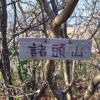 諸頭山。一度間違った方向へ下りかけました
