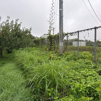 あっという間に慶海山山頂付近