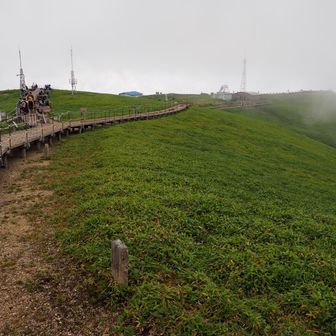 剣山頂上に広がる草原と木道
