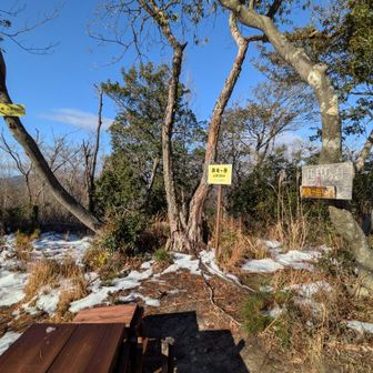 【西鬼】
ここから先は踏み跡無し…