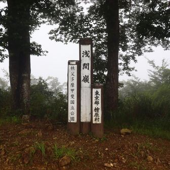 こちらが、前回山頂と思って引き返した、浅間嶺展望台。こちらの方が立派なのです。