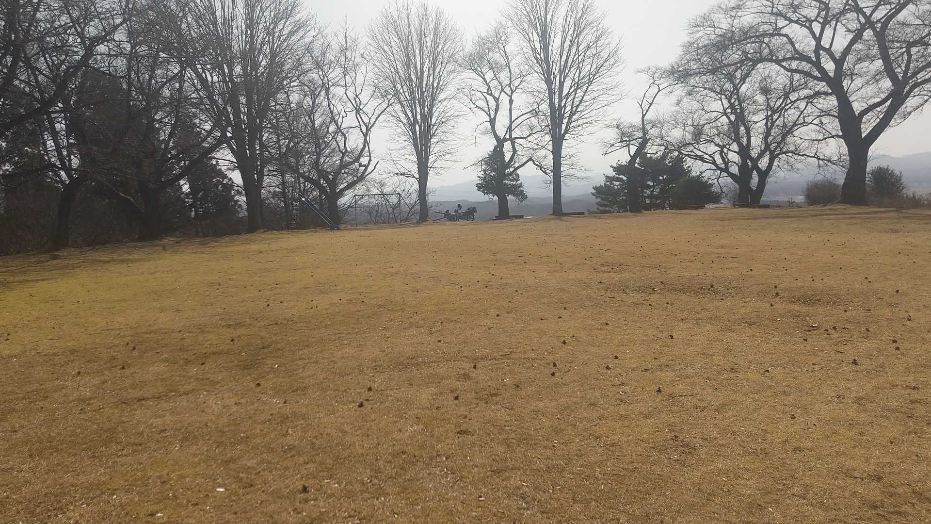 山頂手前にある広場は広いです。
部活の練習をしている高校生がいました。