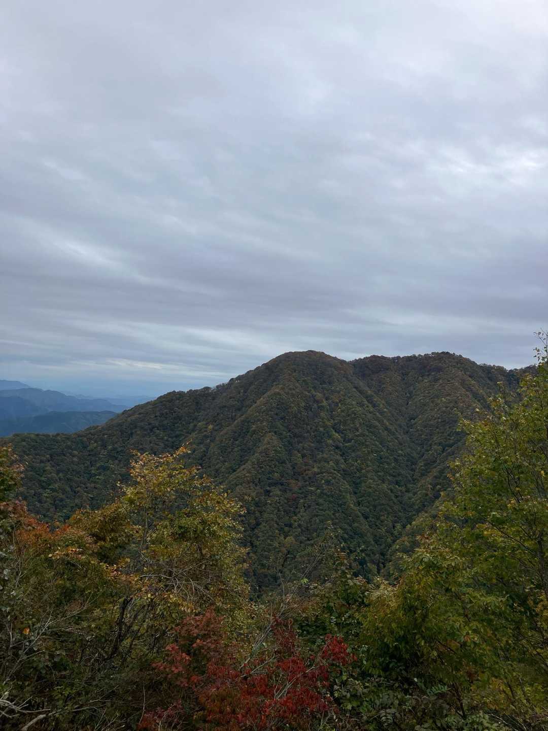 景色