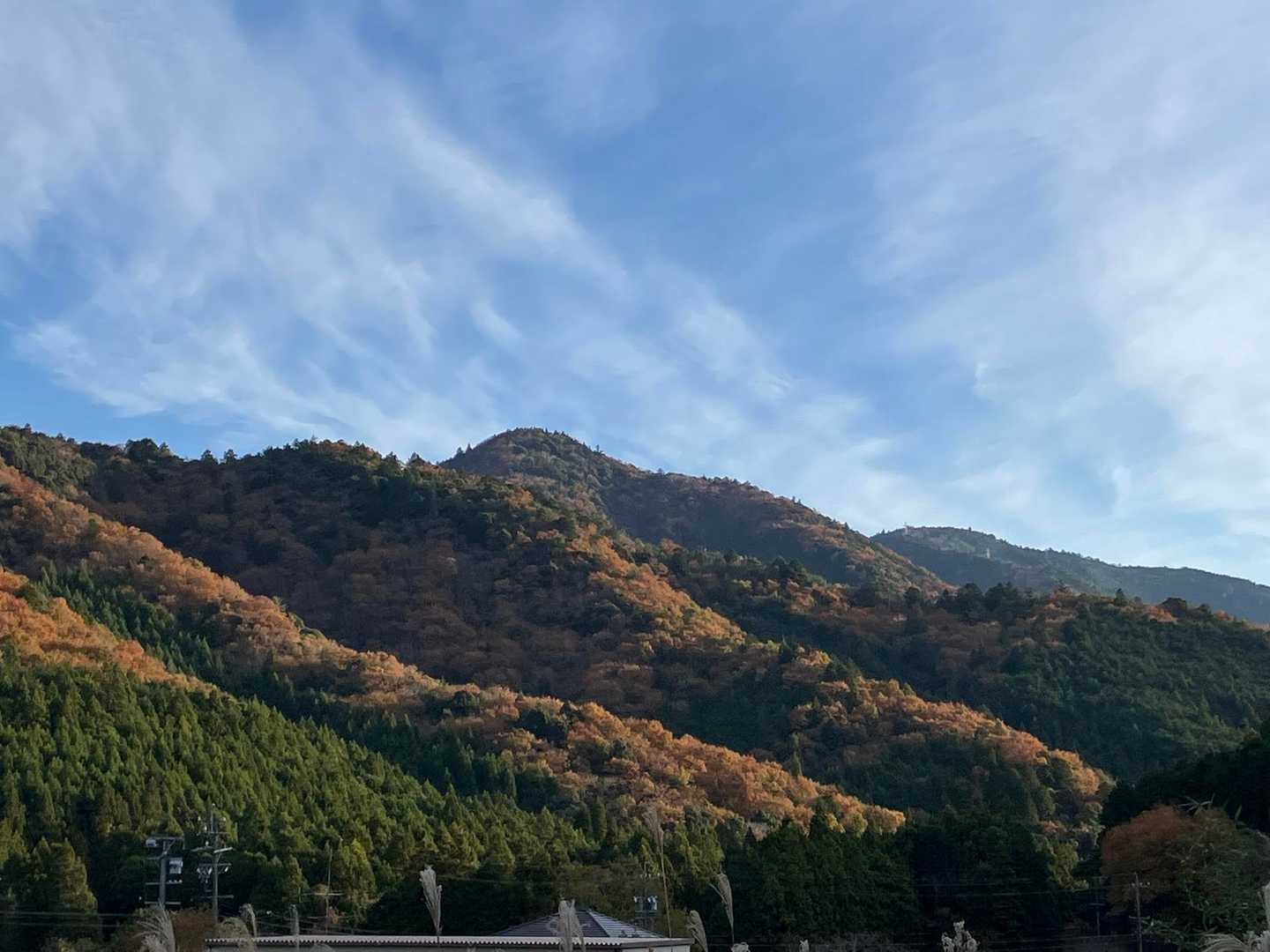 ちょうど見頃🍁
いいお天気！