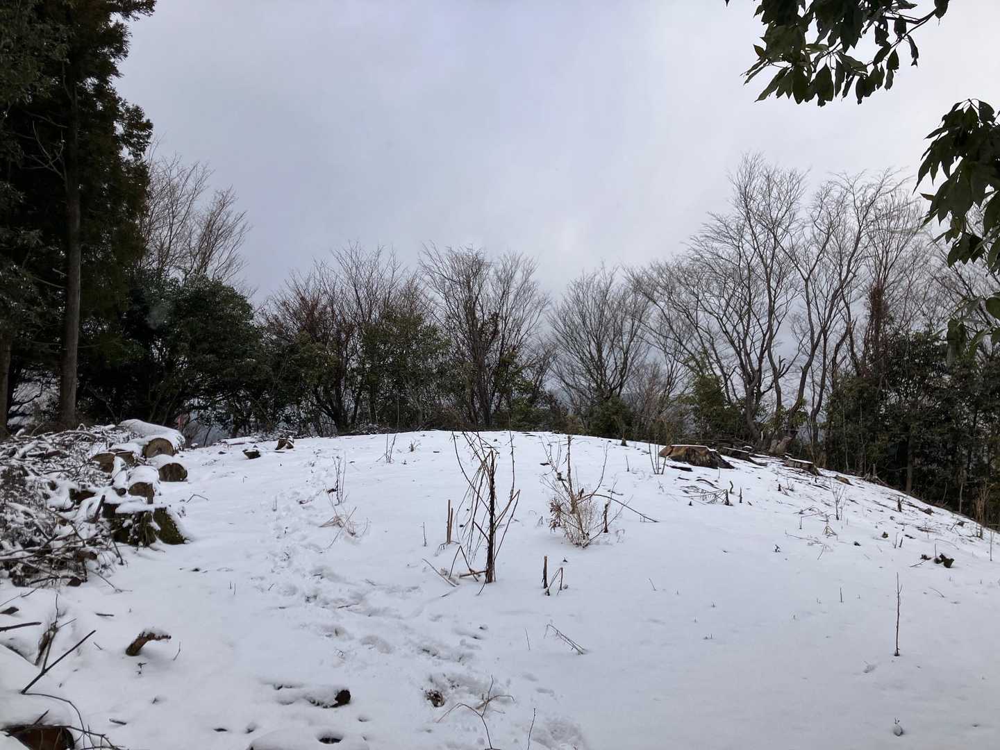 西峰を降りて少し行くと広くてひらけたところ。