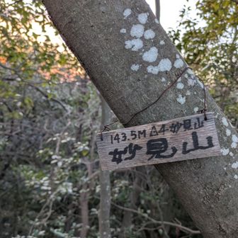 39座✌️神社⛩️の先にある