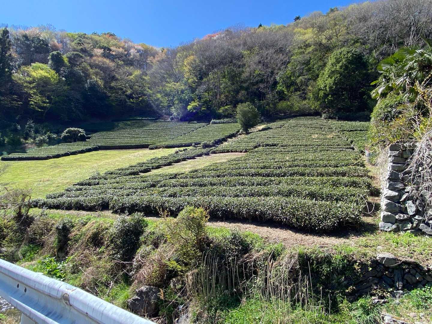 軍刀利神社-佐野川峠-茅丸-連行峰-和田バス停 縦走コースの写真