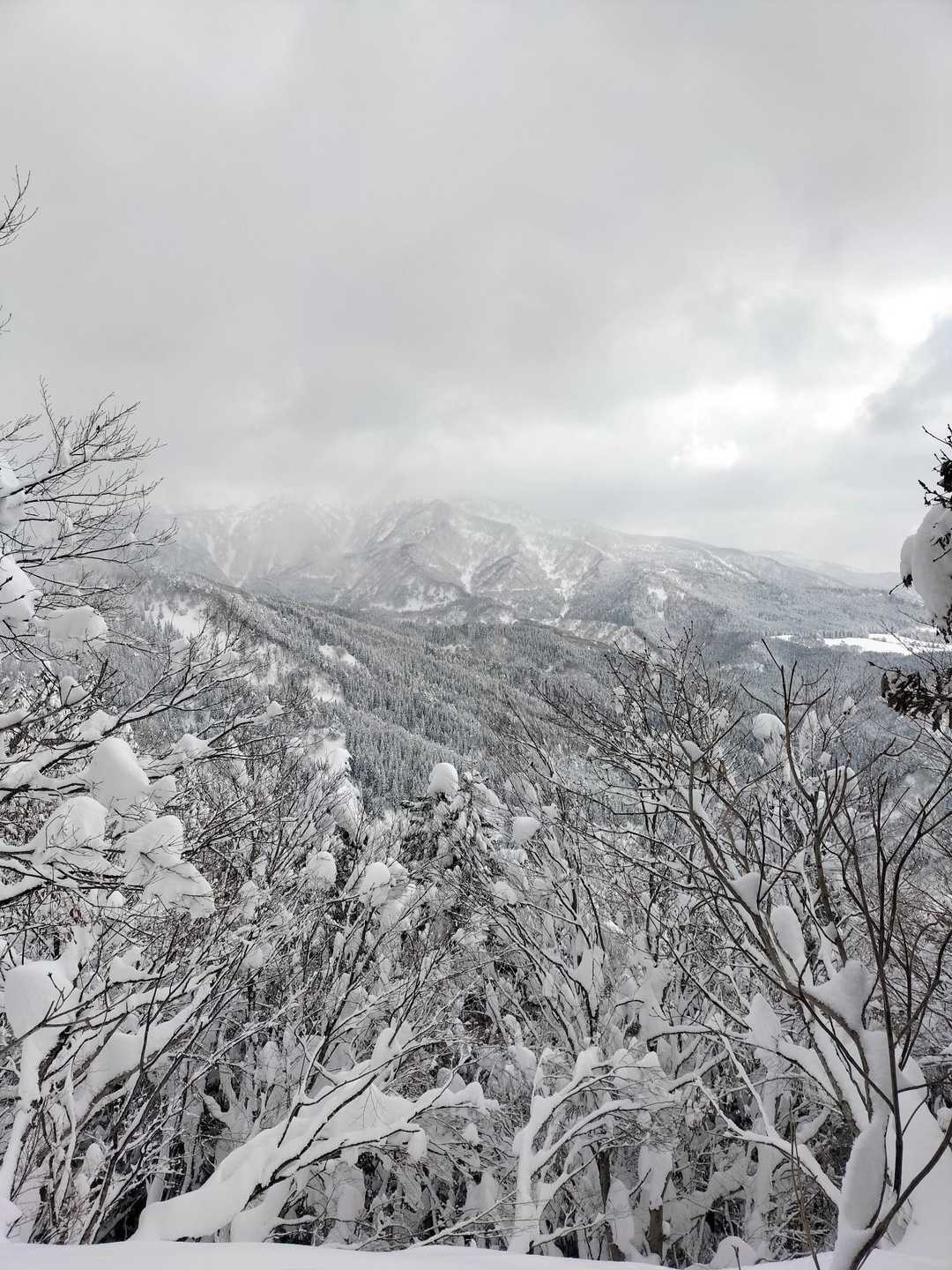 雪は降ったり止んだり☃️　風が全然ないのはありがたい。