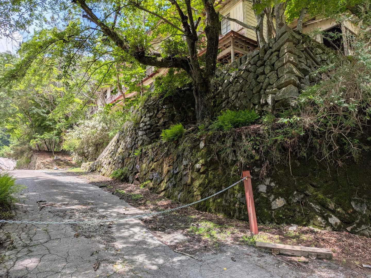 赤岩峠登山口-赤岩峠-大ナゲシ 往復コースの写真